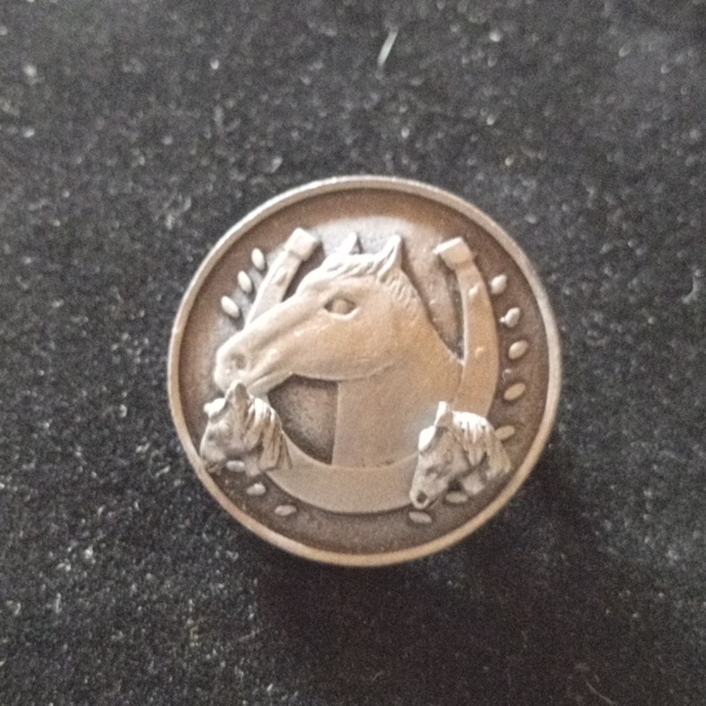 Bronze Colored Horse and Horseshoe Pin With Earrings